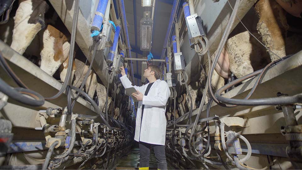 สาขาวิชาชีพเกษตรกรรม สาขาเทคโนโลยีการเกษตร อาชีพนักเทคโนโลยีการผลิตสัตว์ ระดับ  6